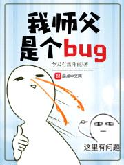 我师父是个bug封面